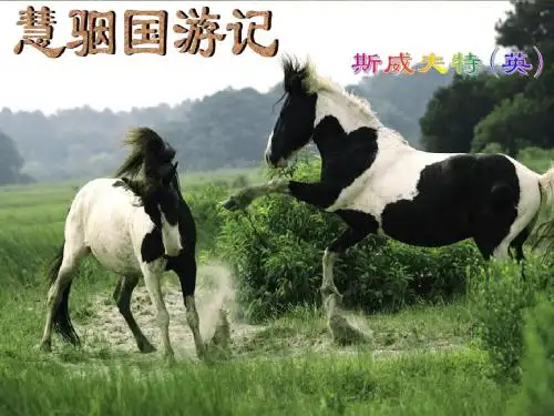 慧駰国游记