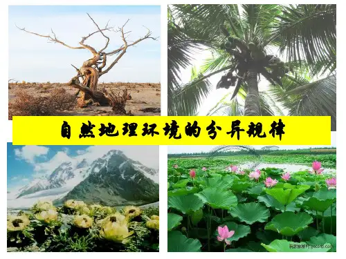 自然地理环境的分异规律