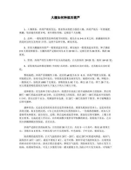 大棚如何种植西葫芦