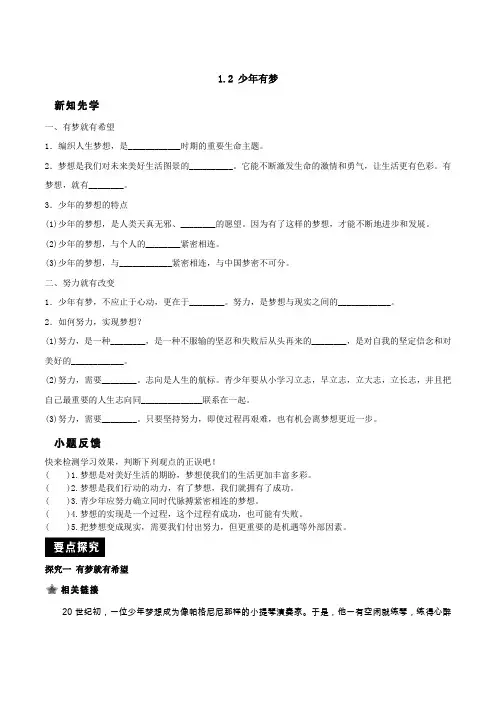 1.1.2《少年有梦》导学案