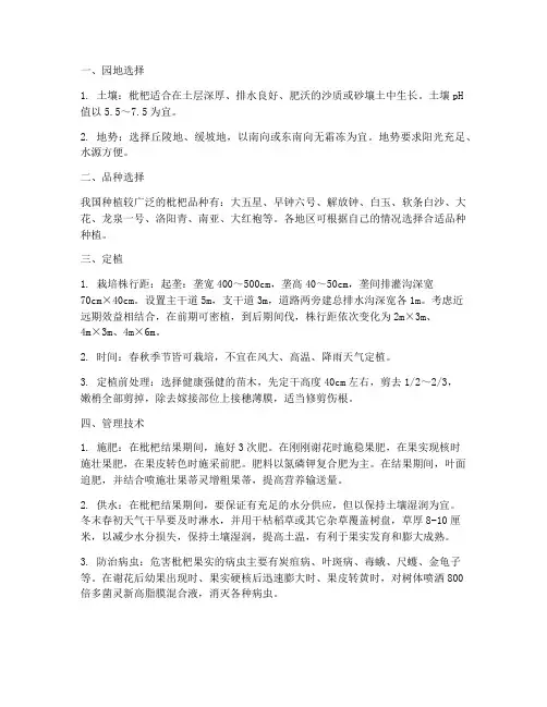 种植枇杷管理技术