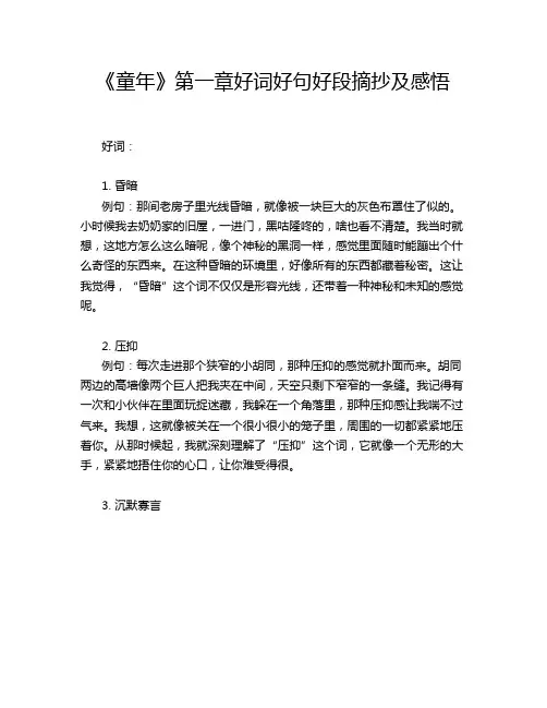 《童年》第一章好词好句好段摘抄及感悟