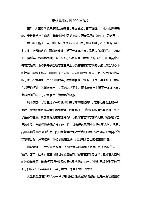 窗外风雨依旧800字作文