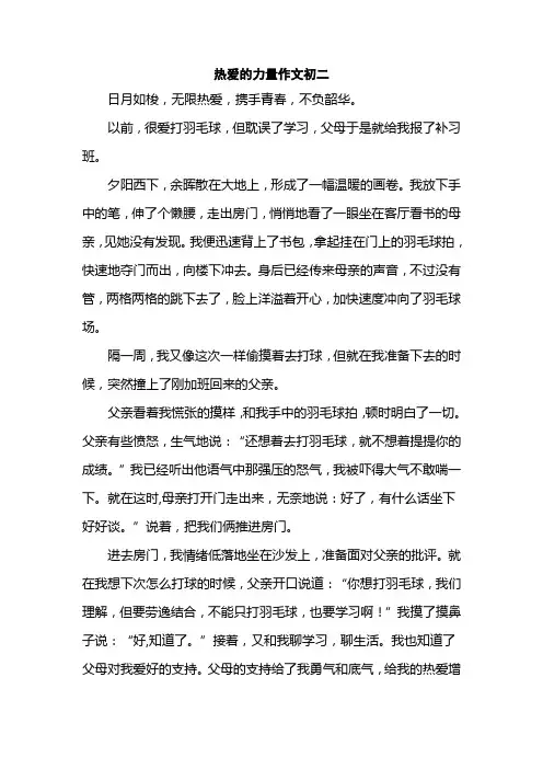热爱的力量作文初二