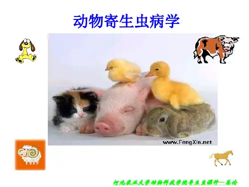 《动物寄生虫病学》PPT课件