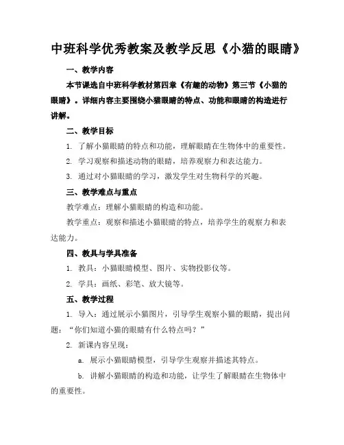 中班科学优秀教案及教学反思《小猫的眼睛》