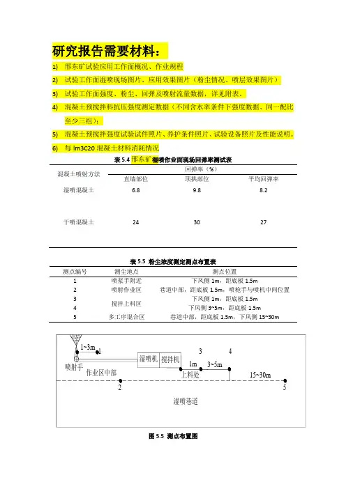 湿喷报告