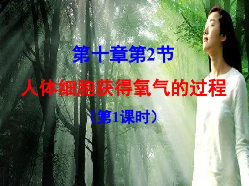 北师大版初中初一七年级下册生物：人体细胞获得氧气的过程