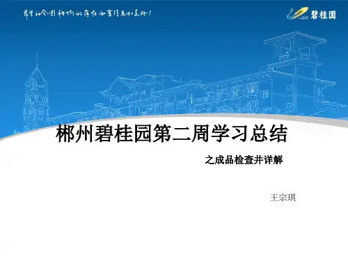 成品检查井详解