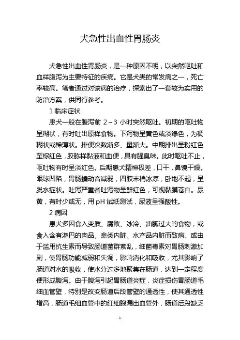 犬急性出血性胃肠炎