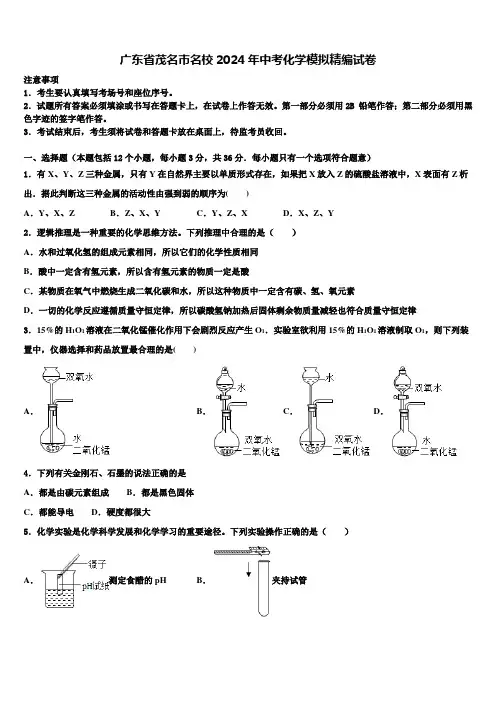 广东省茂名市名校2024年中考化学模拟精编试卷含解析