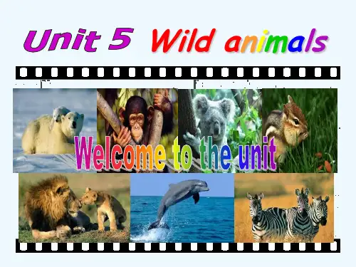 牛津译林版八年级上册Unit 5《Wild animals》(Welcome to the unit)课件