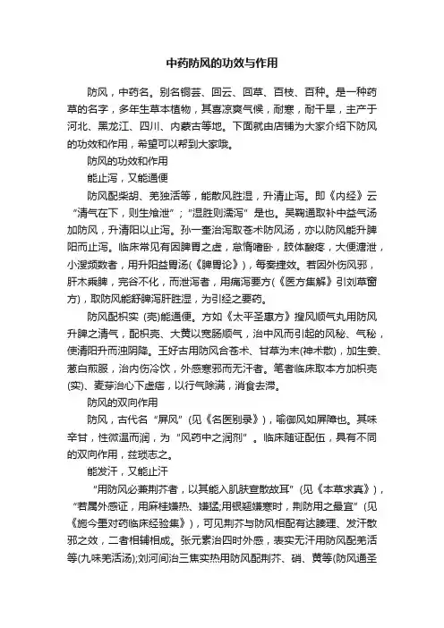 中药防风的功效与作用