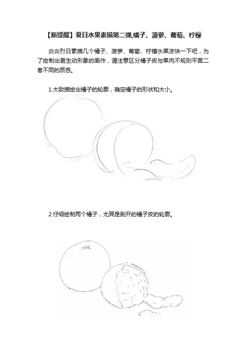 【新提醒】夏日水果素描第二弹,橘子、菠萝、葡萄、柠檬