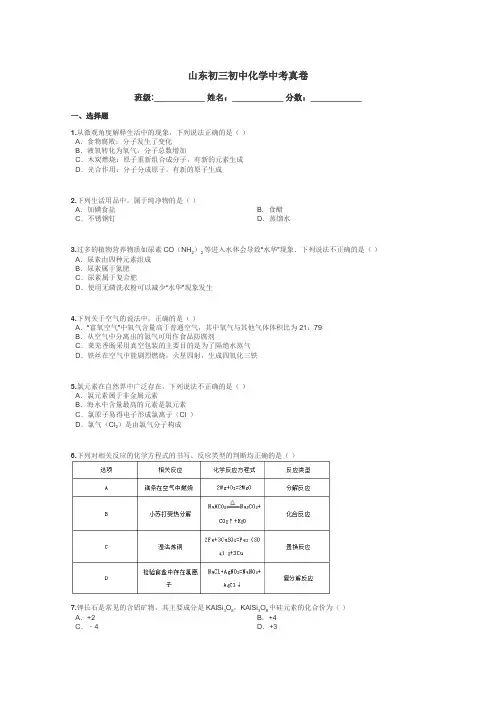 山东初三初中化学中考真卷带答案解析
