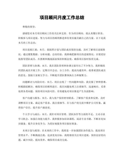 项目顾问月度工作总结