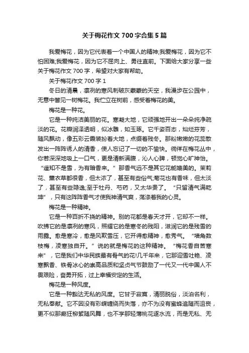 关于梅花作文700字合集5篇