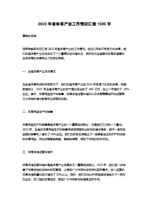 2023年省体育产业工作情况汇报