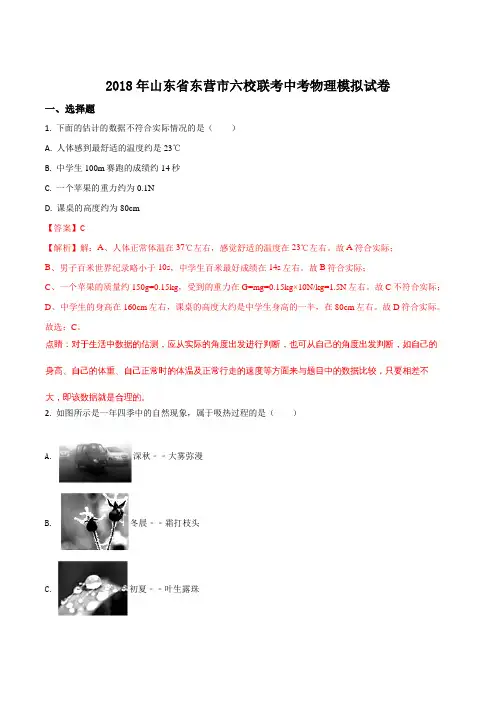 2018年山东省东营市六校联考中考物理模拟试题(解析版)