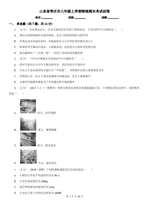 山东省枣庄市八年级上学期物理期末考试试卷