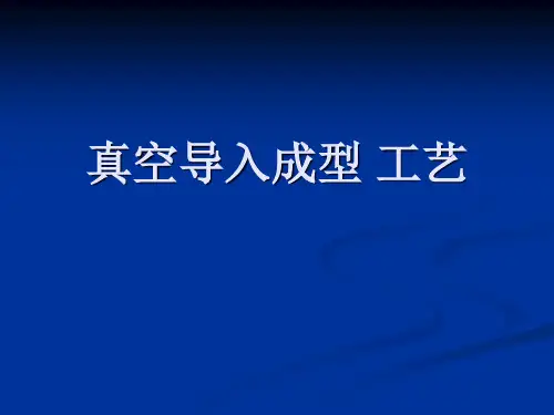 真空导入成型 工艺