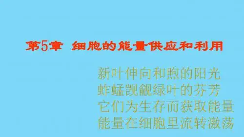 高中生物第五章细胞的能量供应和利用5.1降低化学反应活化能的酶课件新人教版必修1