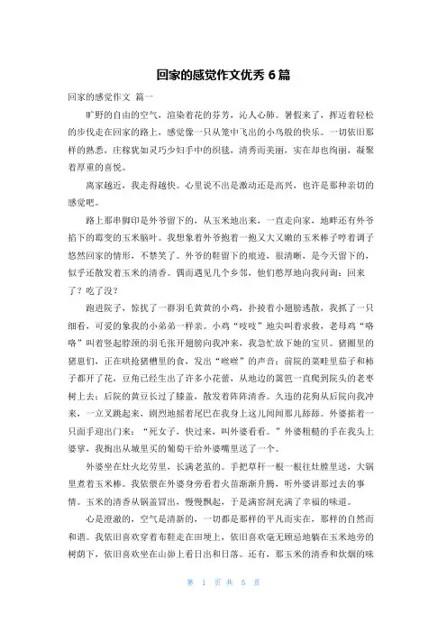 回家的感觉作文优秀6篇