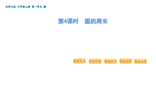 北师大版六年级上册数学 圆  第4课时 圆的周长