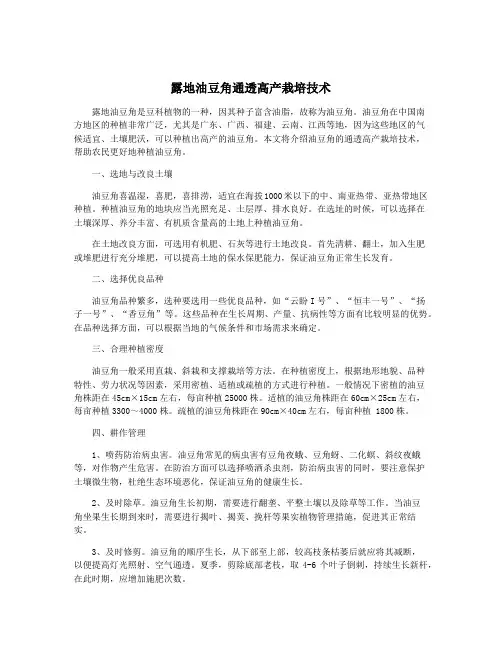 露地油豆角通透高产栽培技术