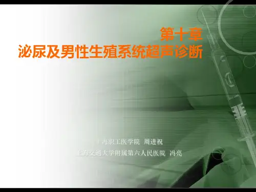 泌尿及男性生殖系统超声诊断