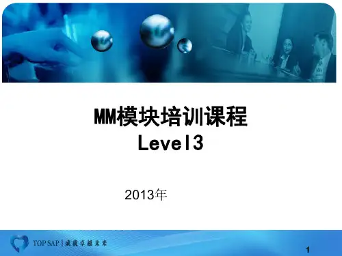 SAP MM 模块组织架构