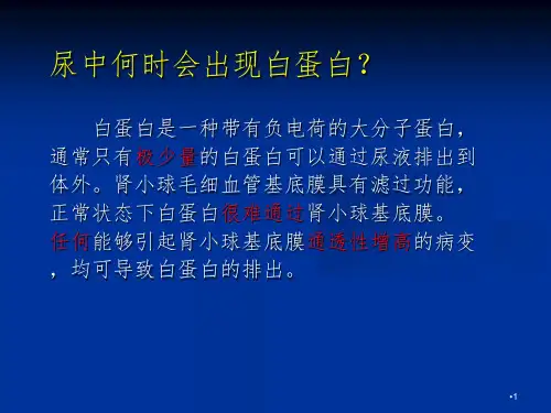 尿微量白蛋白PPT课件