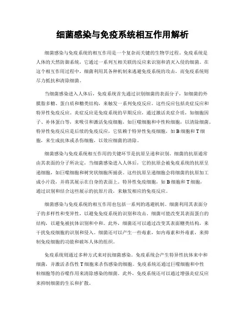 细菌感染与免疫系统相互作用解析