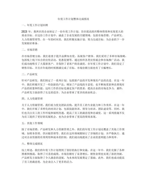 年度工作计划整体完成情况