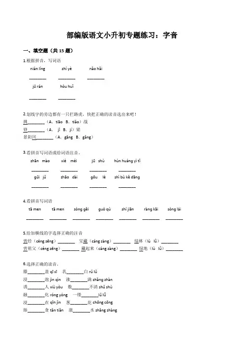 部编版语文小升初专题练习：字音