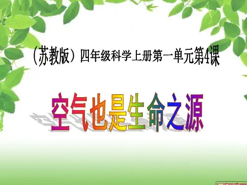 苏教版科学四年级上册空气也是生命之源 (2)