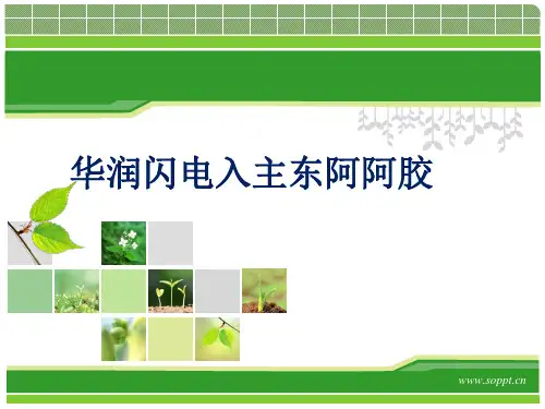并购案例 华润入主东阿阿胶-PPT