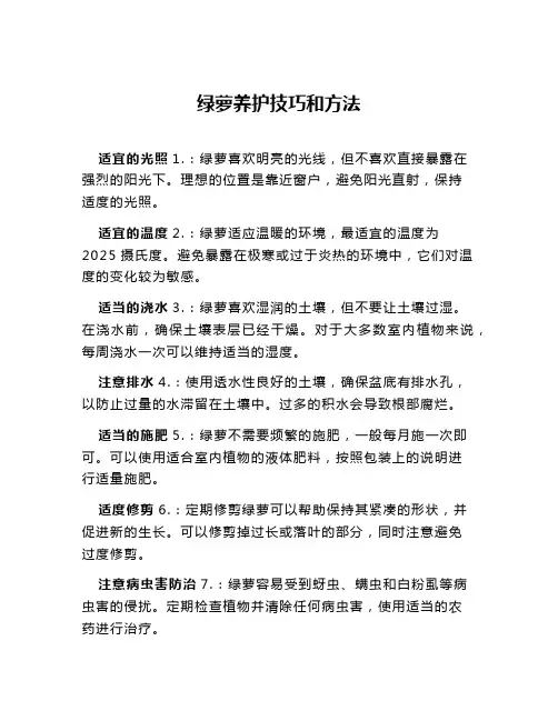 绿萝养护技巧和方法