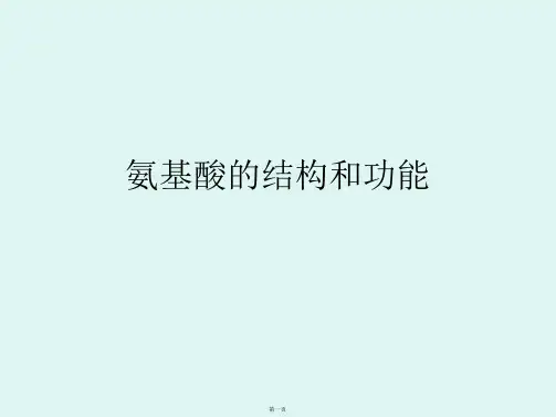 氨基酸的结构和功能