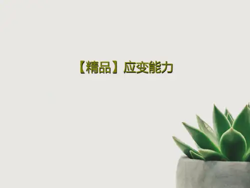 【精品】应变能力17页PPT