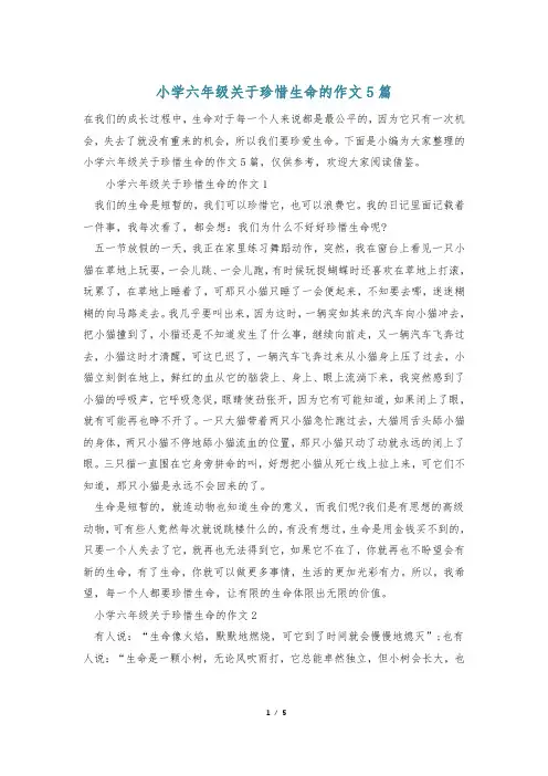 小学六年级关于珍惜生命的作文5篇