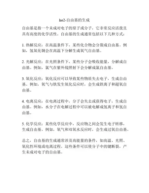 ho2-自由基的生成