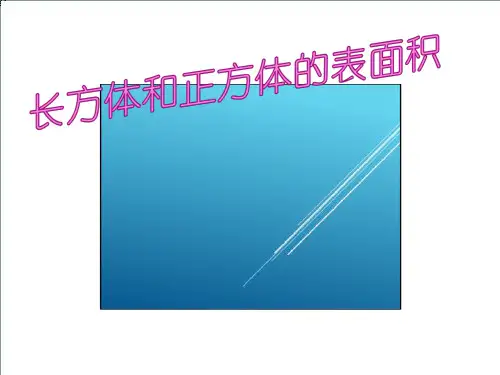 六年级数学上册课件1.3长方体和正方体的表面积苏教版(共10张PPT)