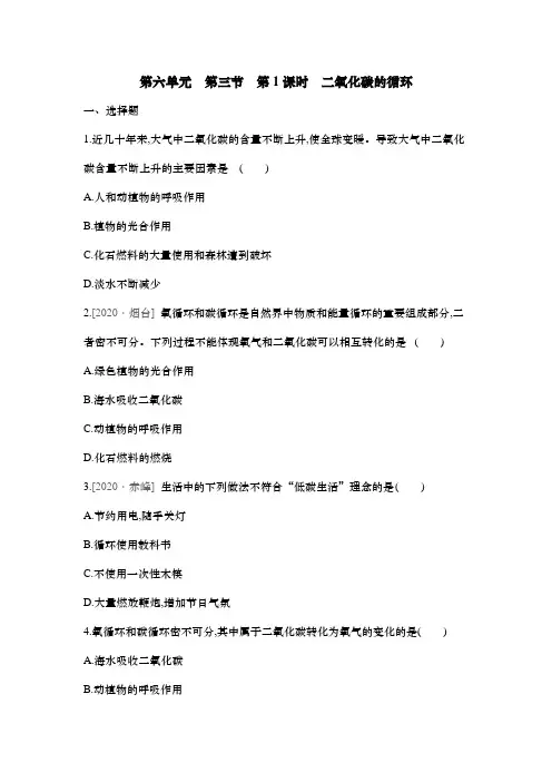 大自然中的二氧化碳---同步训练— 2021-2022学年九年级化学鲁教版上册