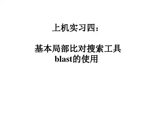 上机实习四：BLAST序列相似性搜索工具的使用