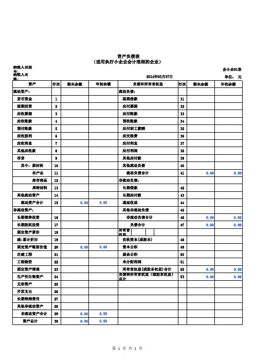小企业会计准则财务报表模板
