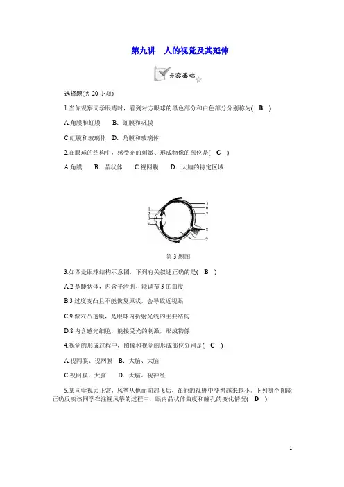 浙教版科学七年级下册期末复习精编习题：第九讲      人的视觉及其延伸(含答案)