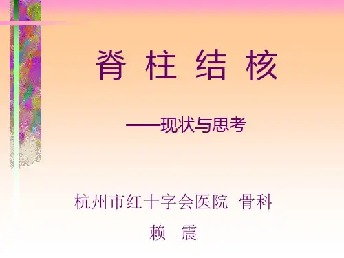 脊柱结核PPT课件