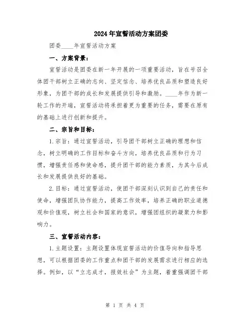 2024年宣誓活动方案团委