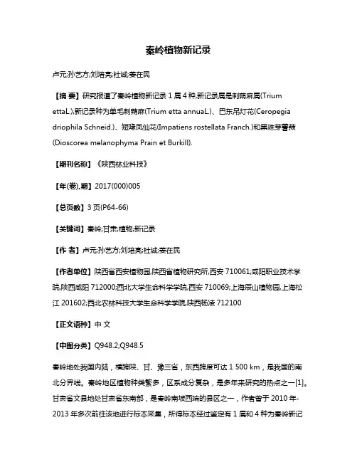 秦岭植物新记录